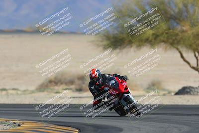 media/Feb-04-2023-SoCal Trackdays (Sat) [[8a776bf2c3]]/Turn 4 (Tree of Life 2pm)/